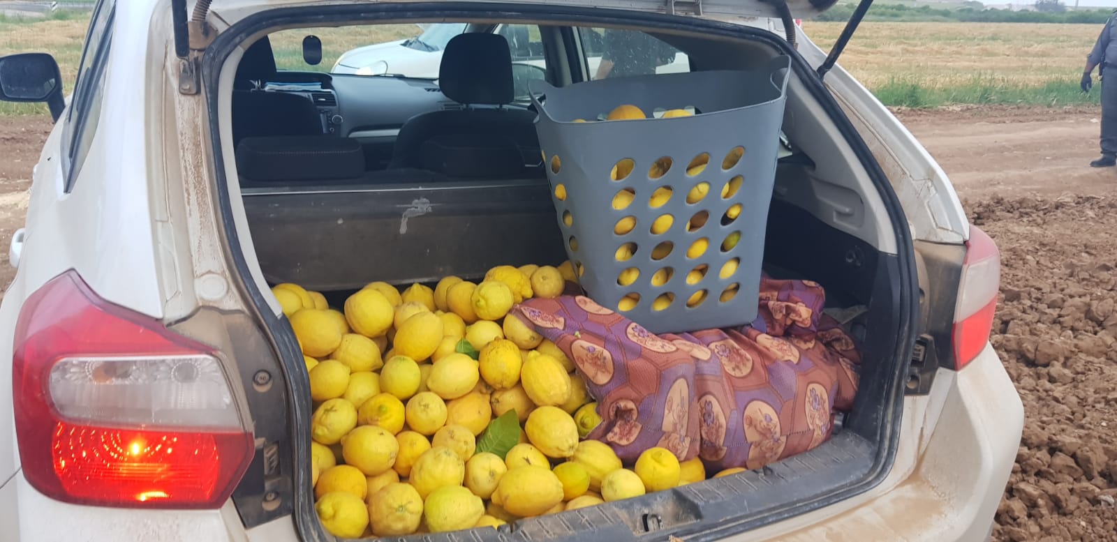 דוברות משטרה