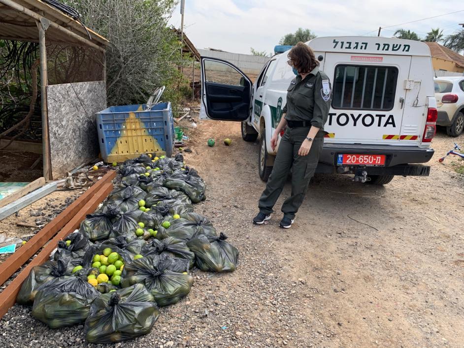 דוברות משטרה