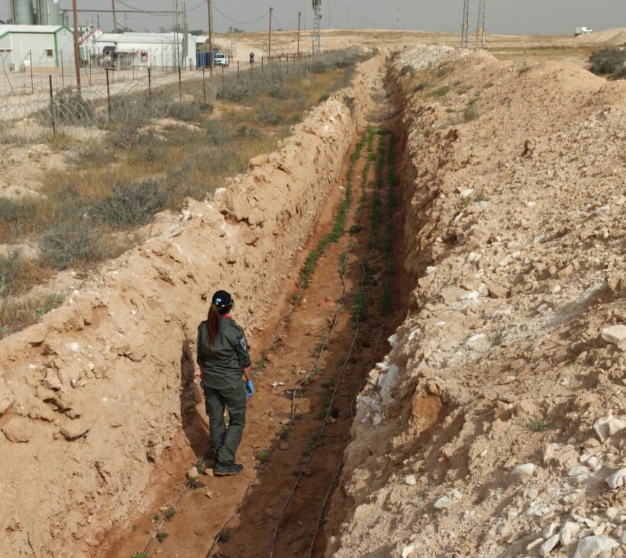 דוברות משטרה