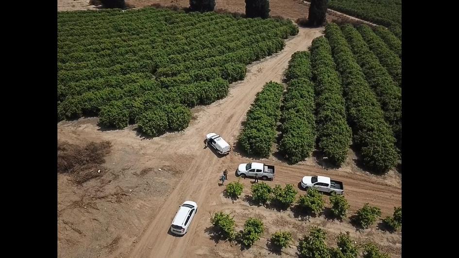 דוברות משטרה