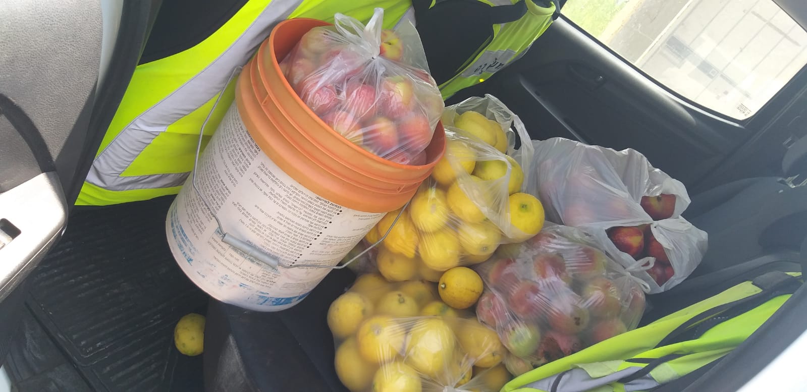 דוברות משטרה