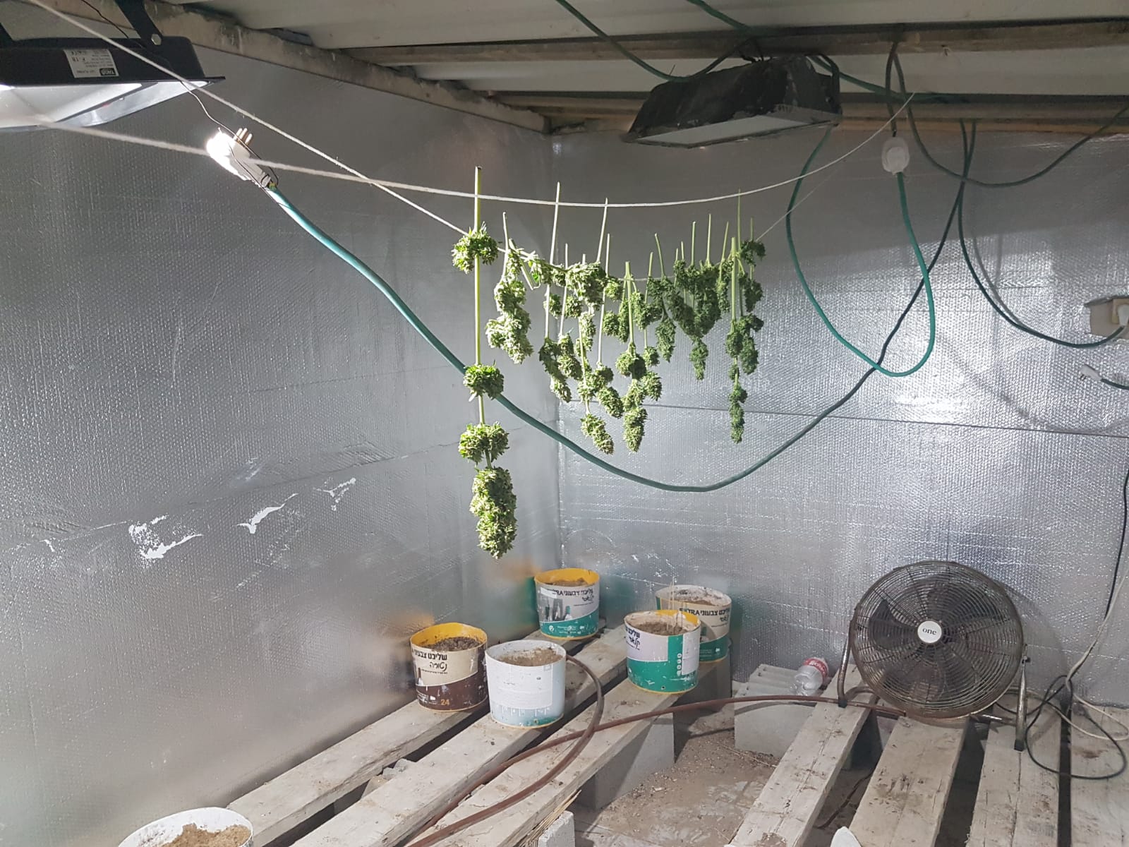 דוברות משטרה