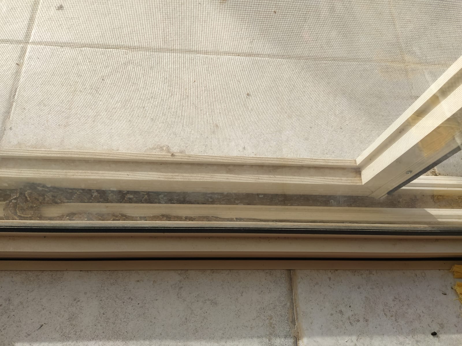 צילום איתמר