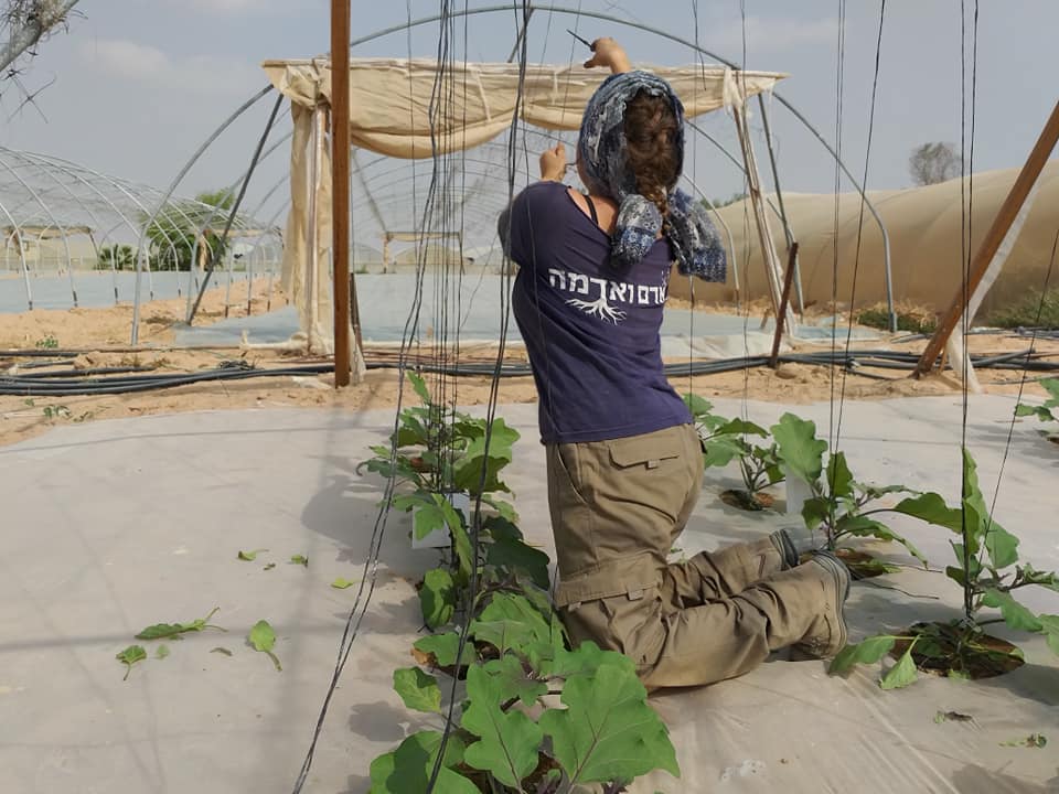 צילום השומר החדש