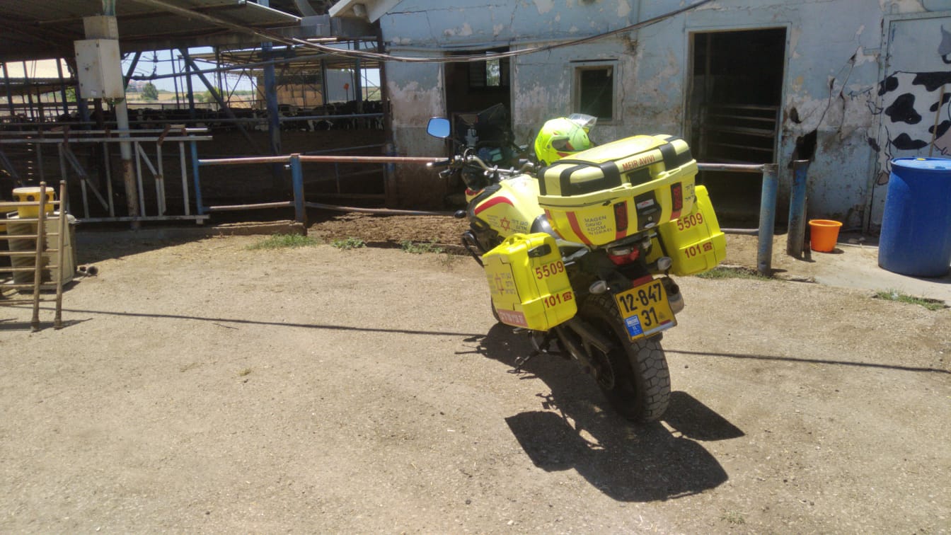 דוברות מד&quot;א