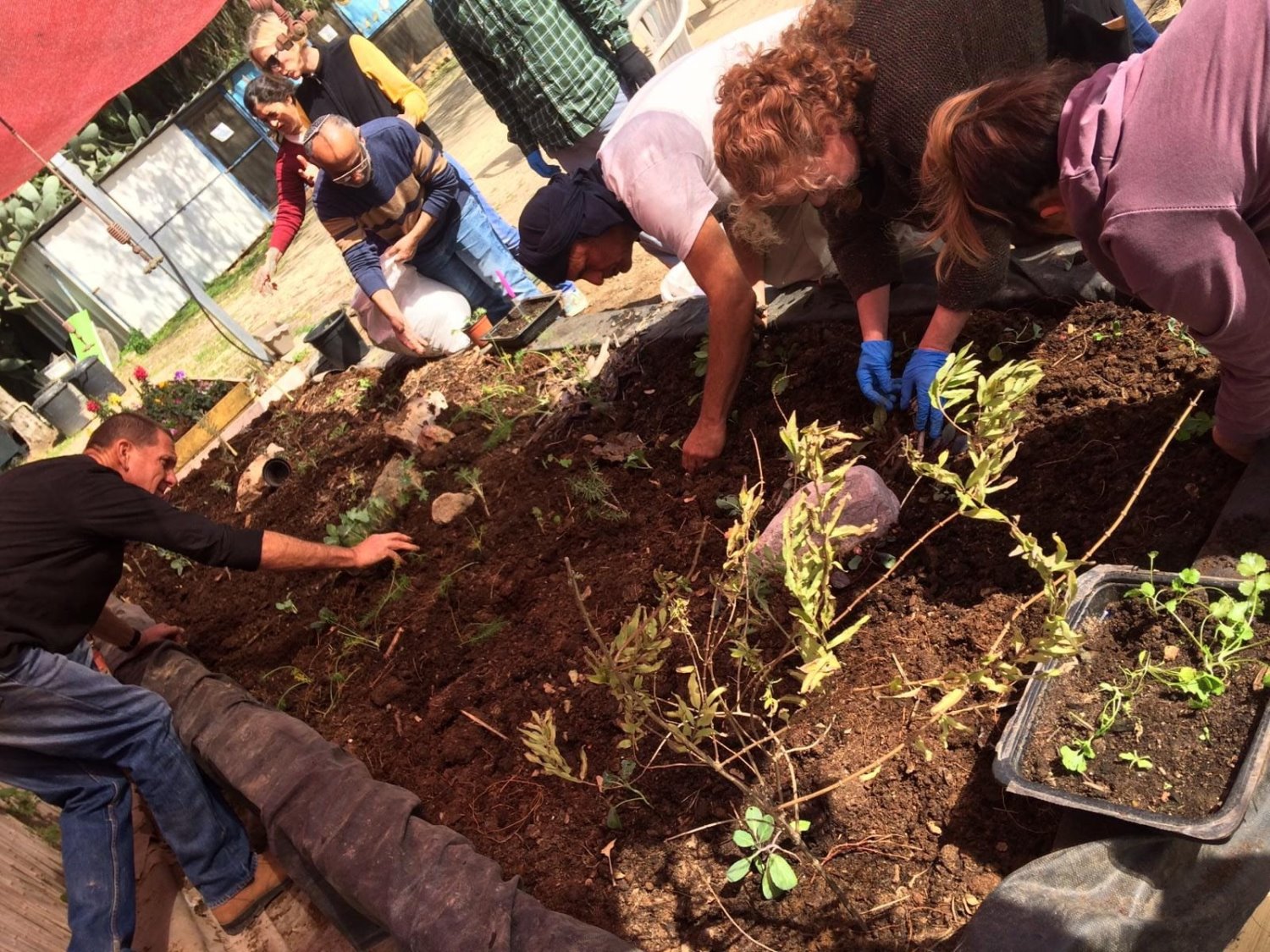 דוברות חוף אשקלון