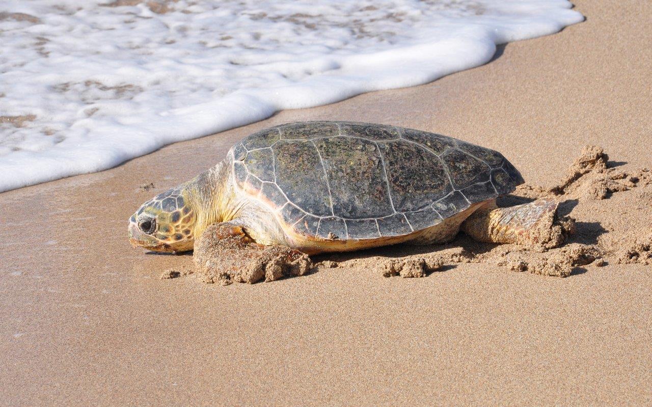 צילום: עיריית אשדוד