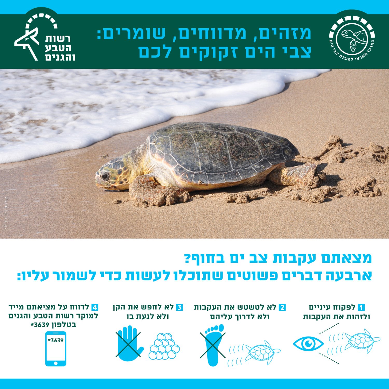 צילום: עיריית אשדוד