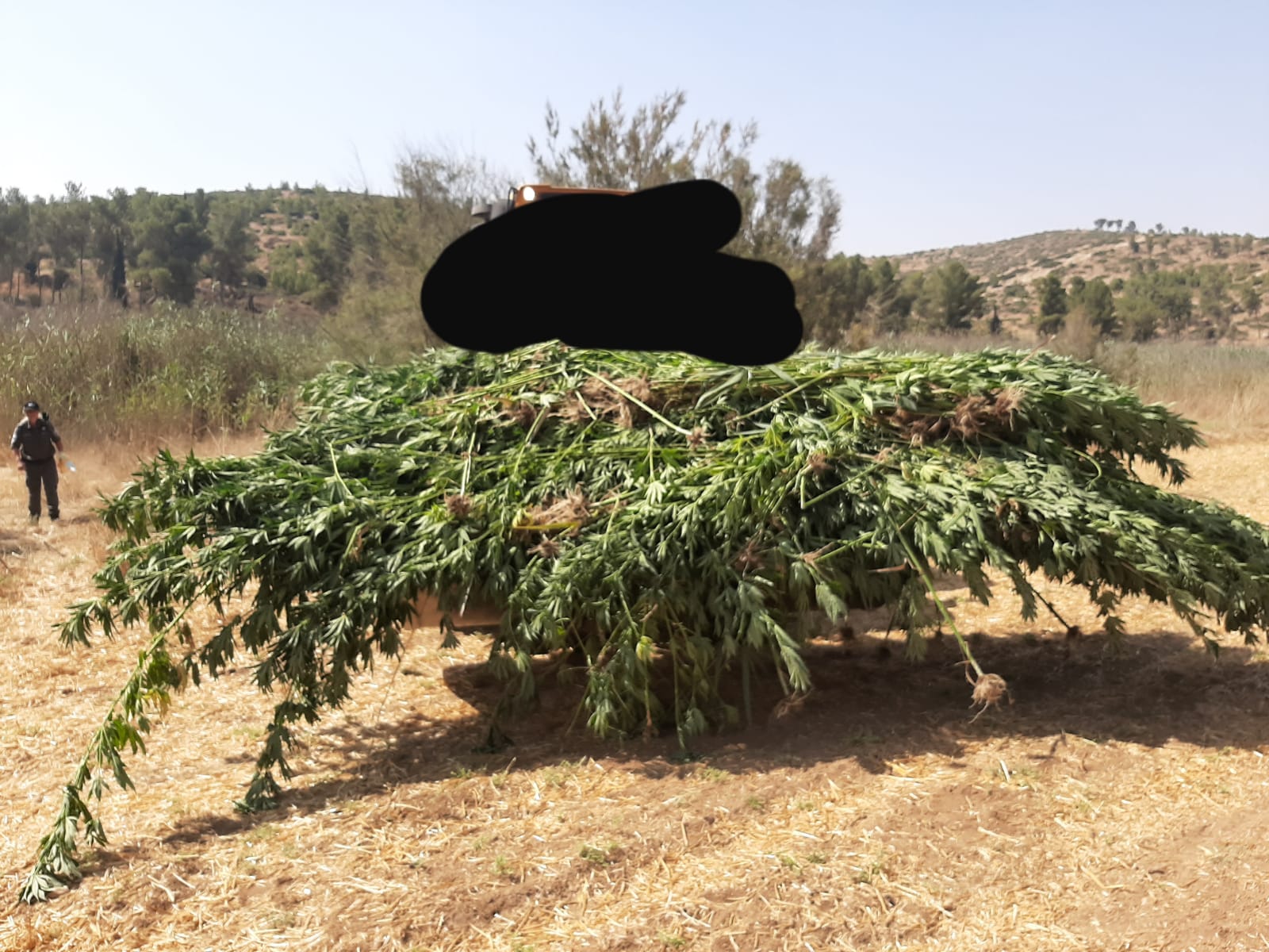 שיטור קהילתי 