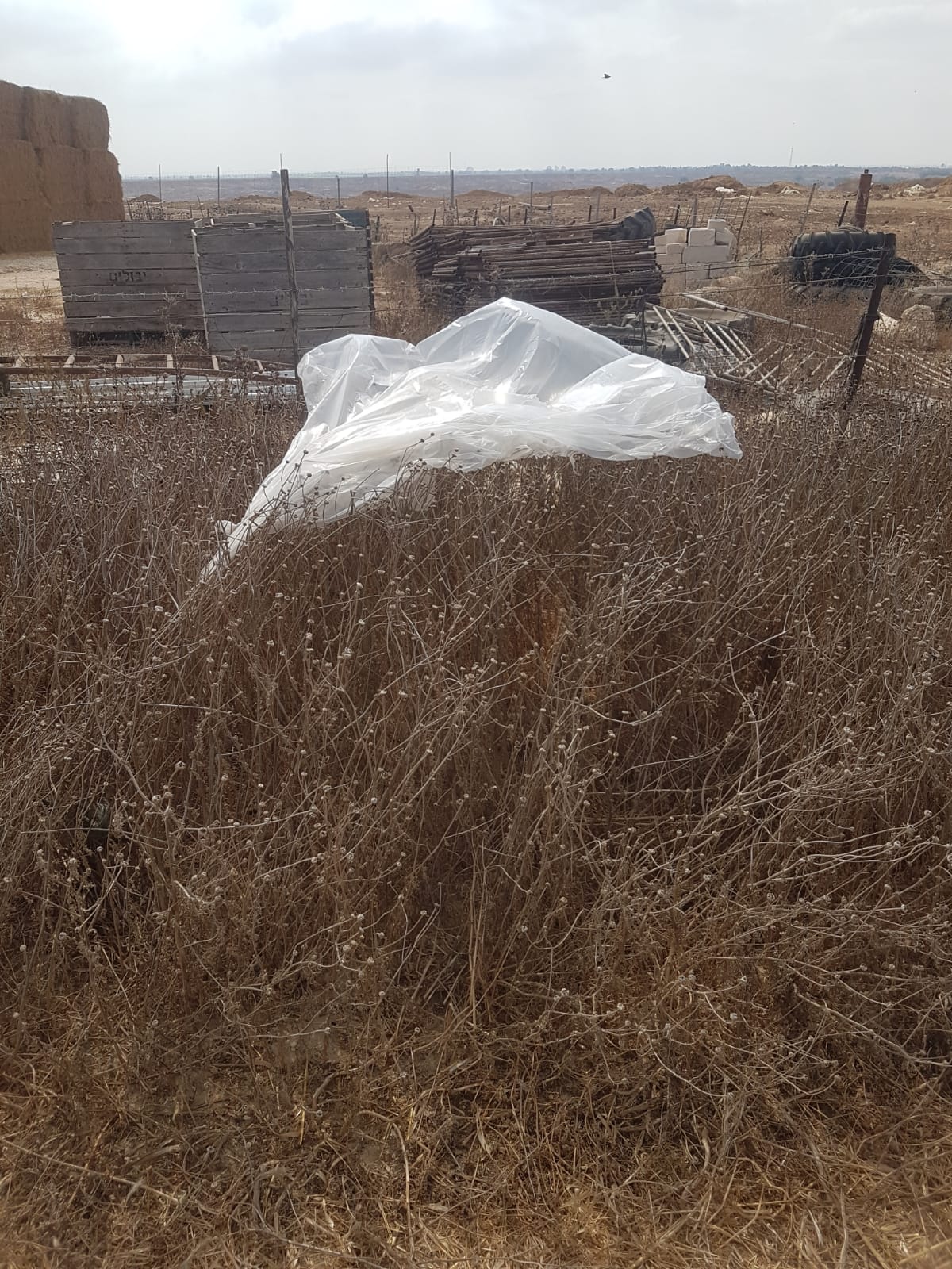 דוברות משטרה