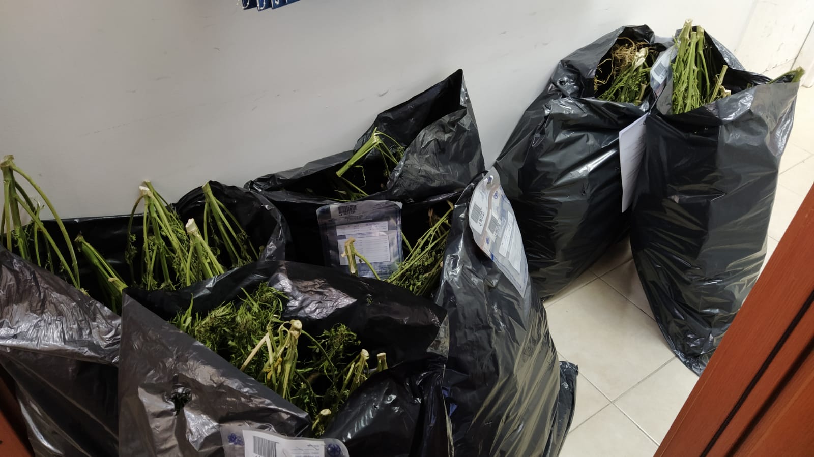 דוברות משטרה