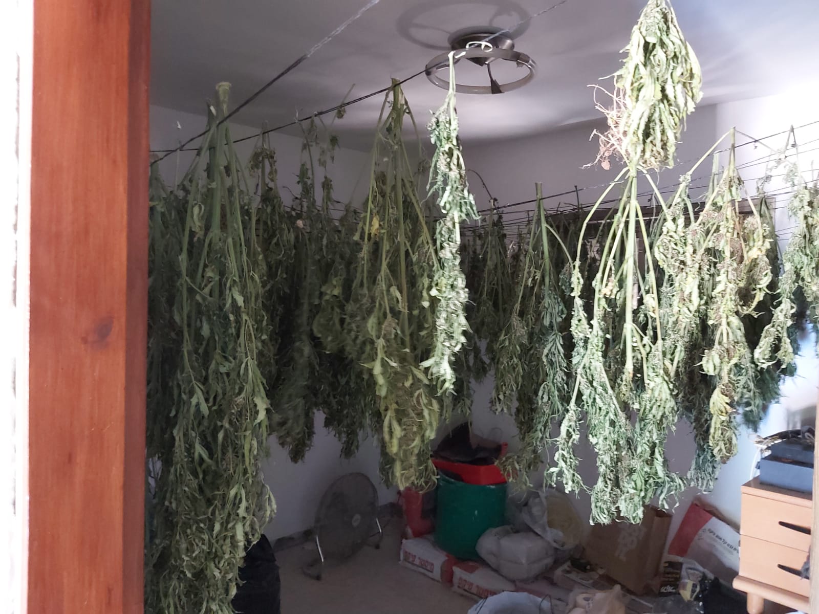 דוברות משטרה