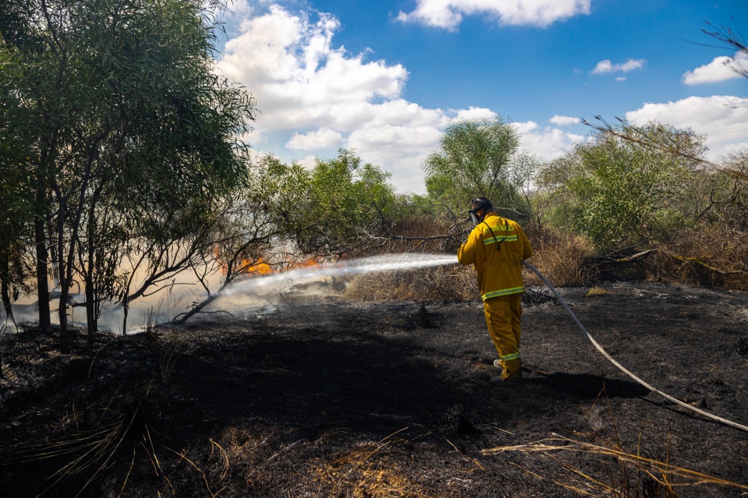 צילום צפריר ניר