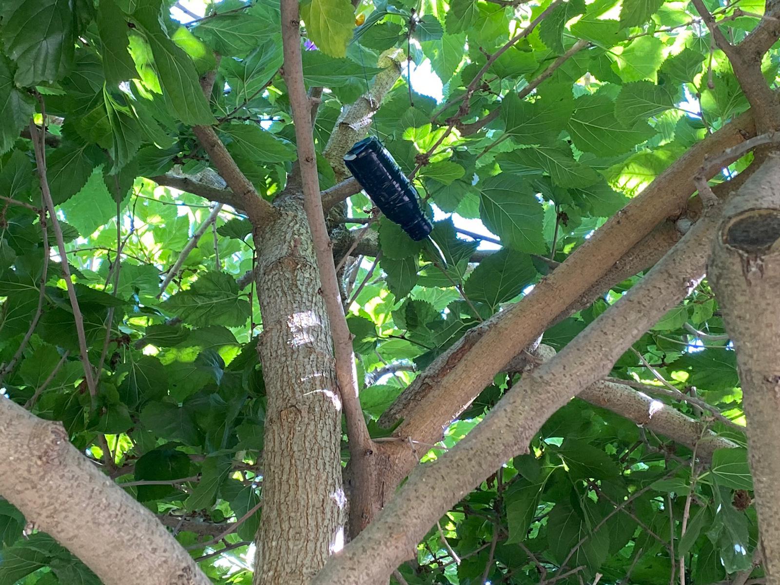 בטחון אשכול