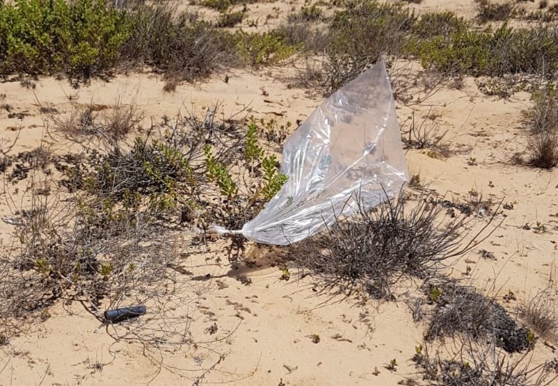 צילום דוברות משטרה