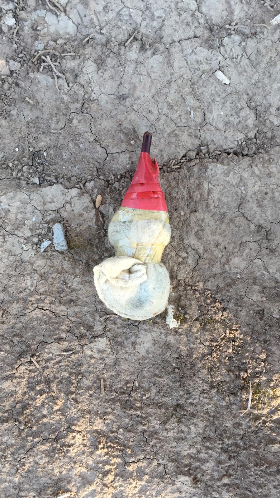 דוברות משטרה