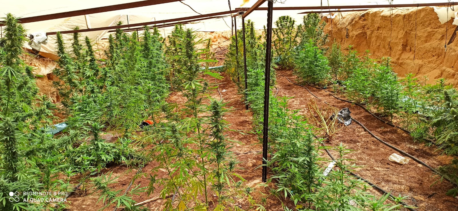 דוברות משטרה