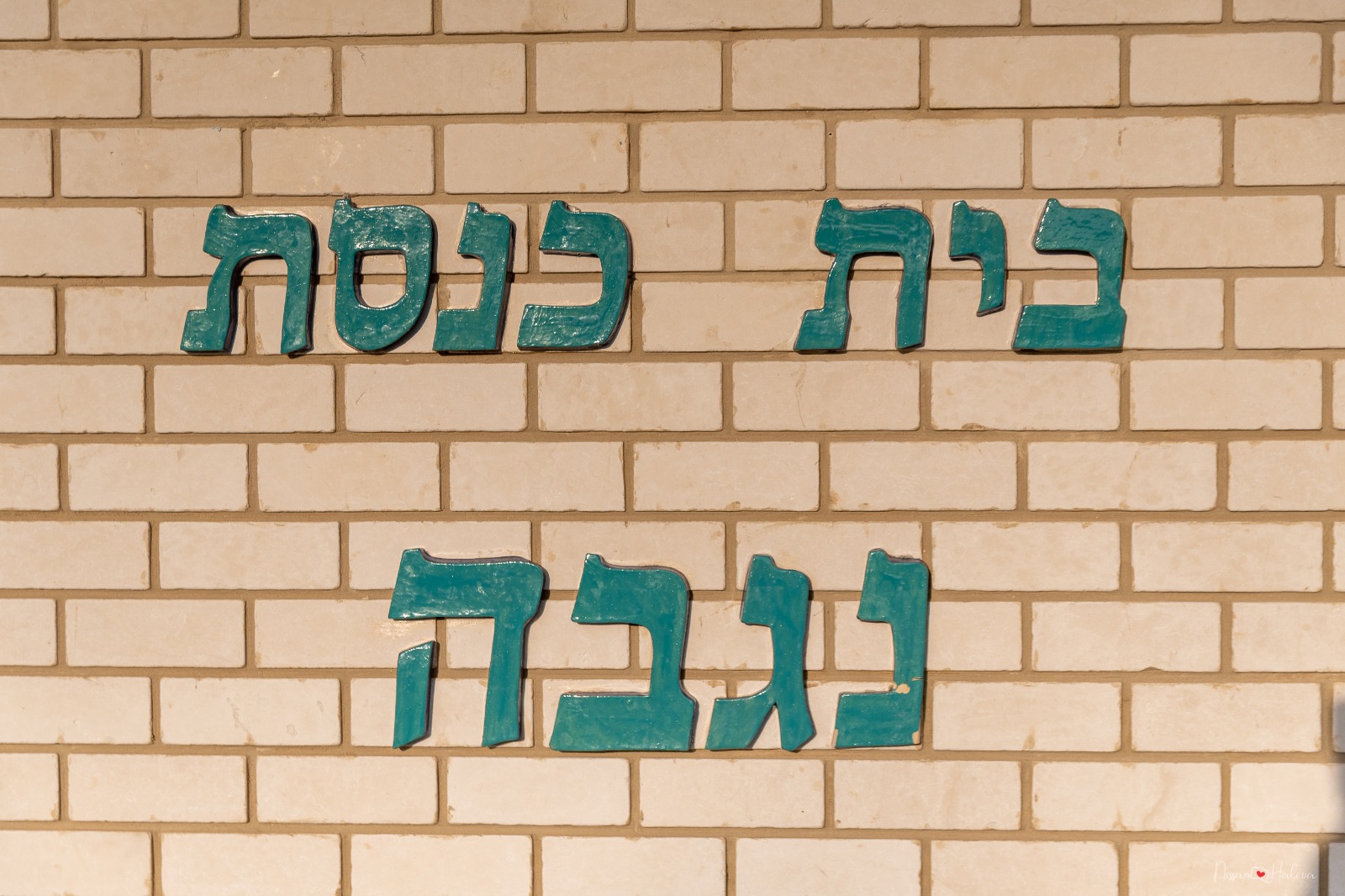 ניסן חלבה