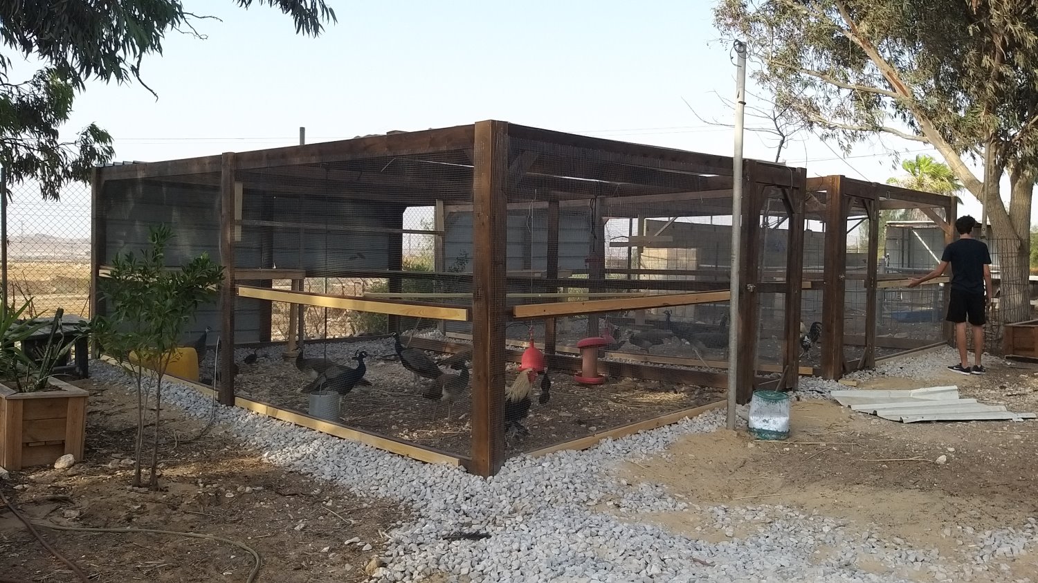 באדיבות סדנת הפרויקט 