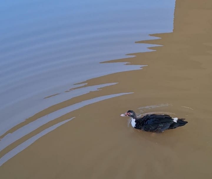  צילום קובי כהן ודרור אבוקסיס