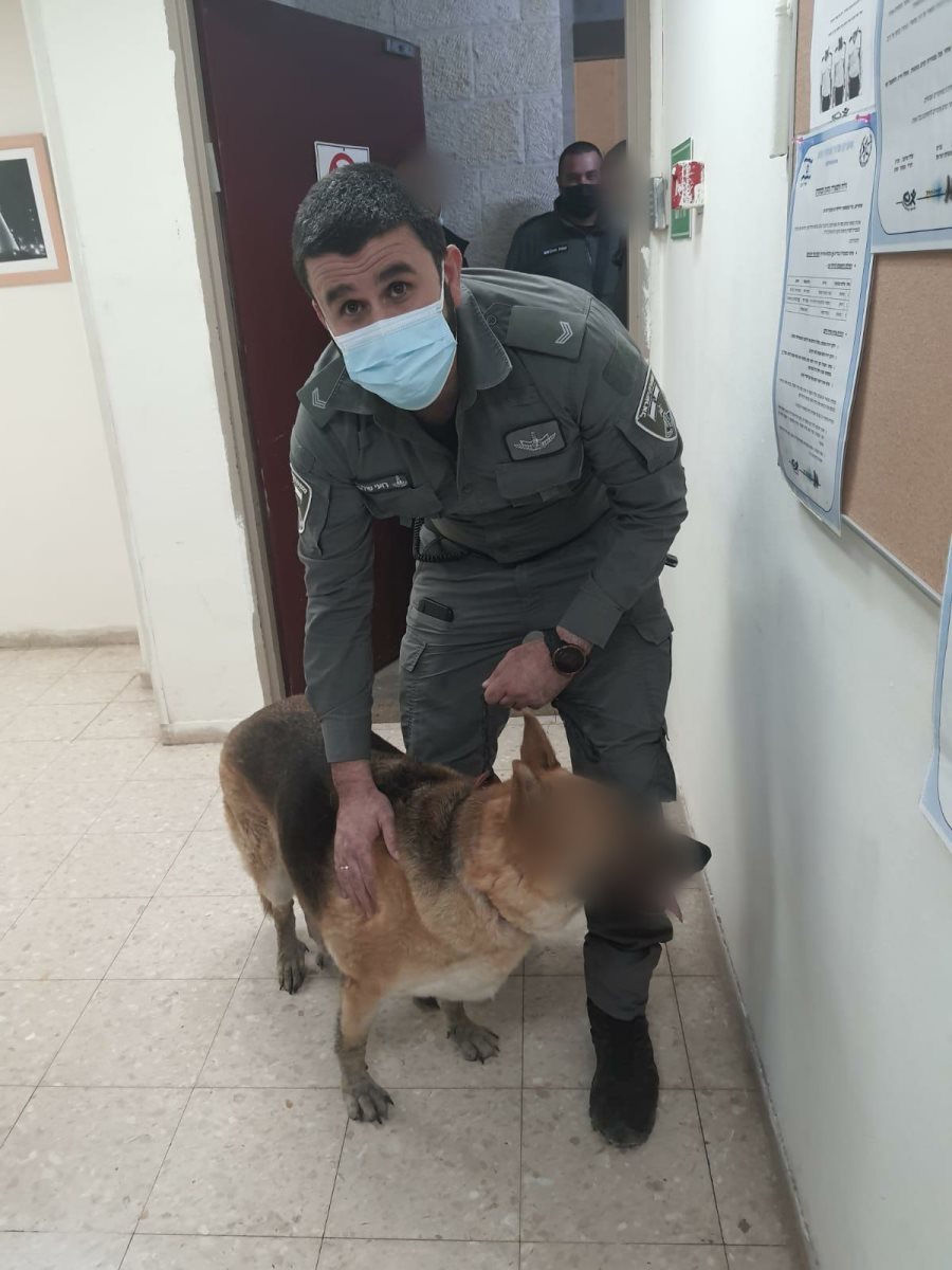 דוברות משטרה