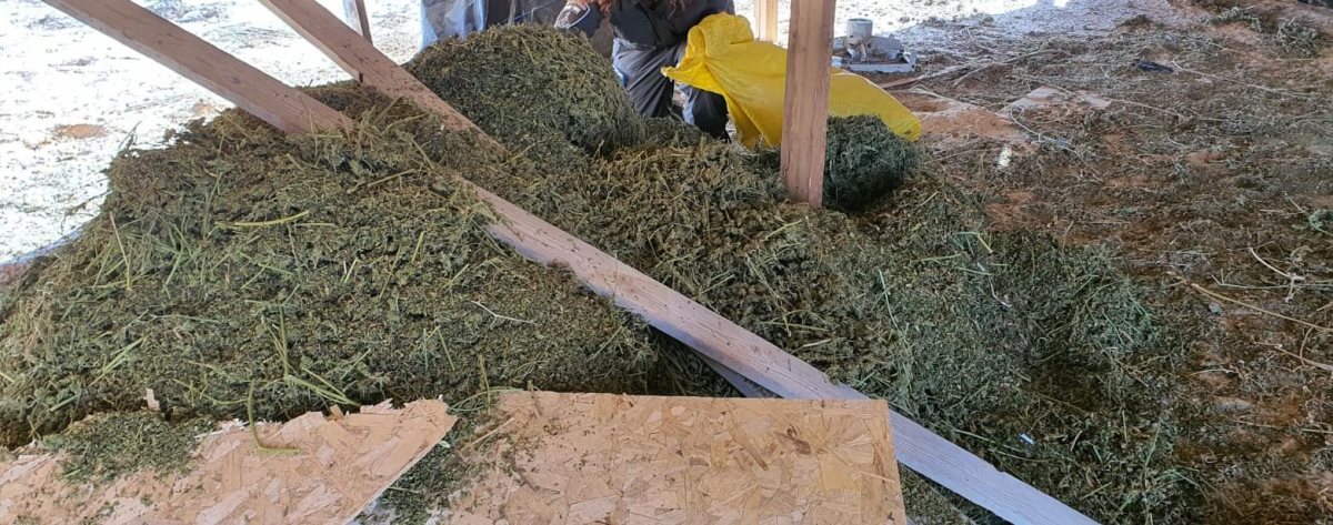 דוברות משטרה