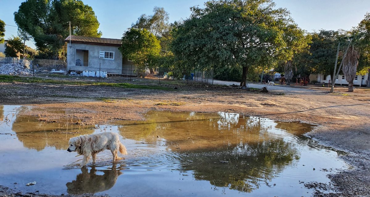 צילום מערכת יישובניק נט