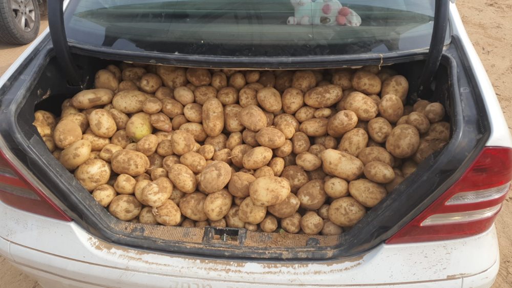 דוברות משטרה והשומר החדש