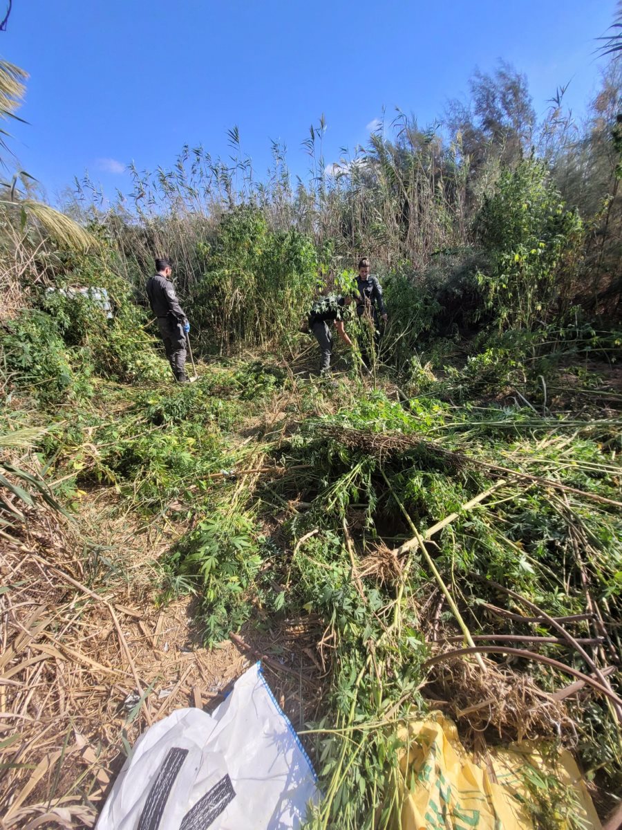 דוברות משטרה