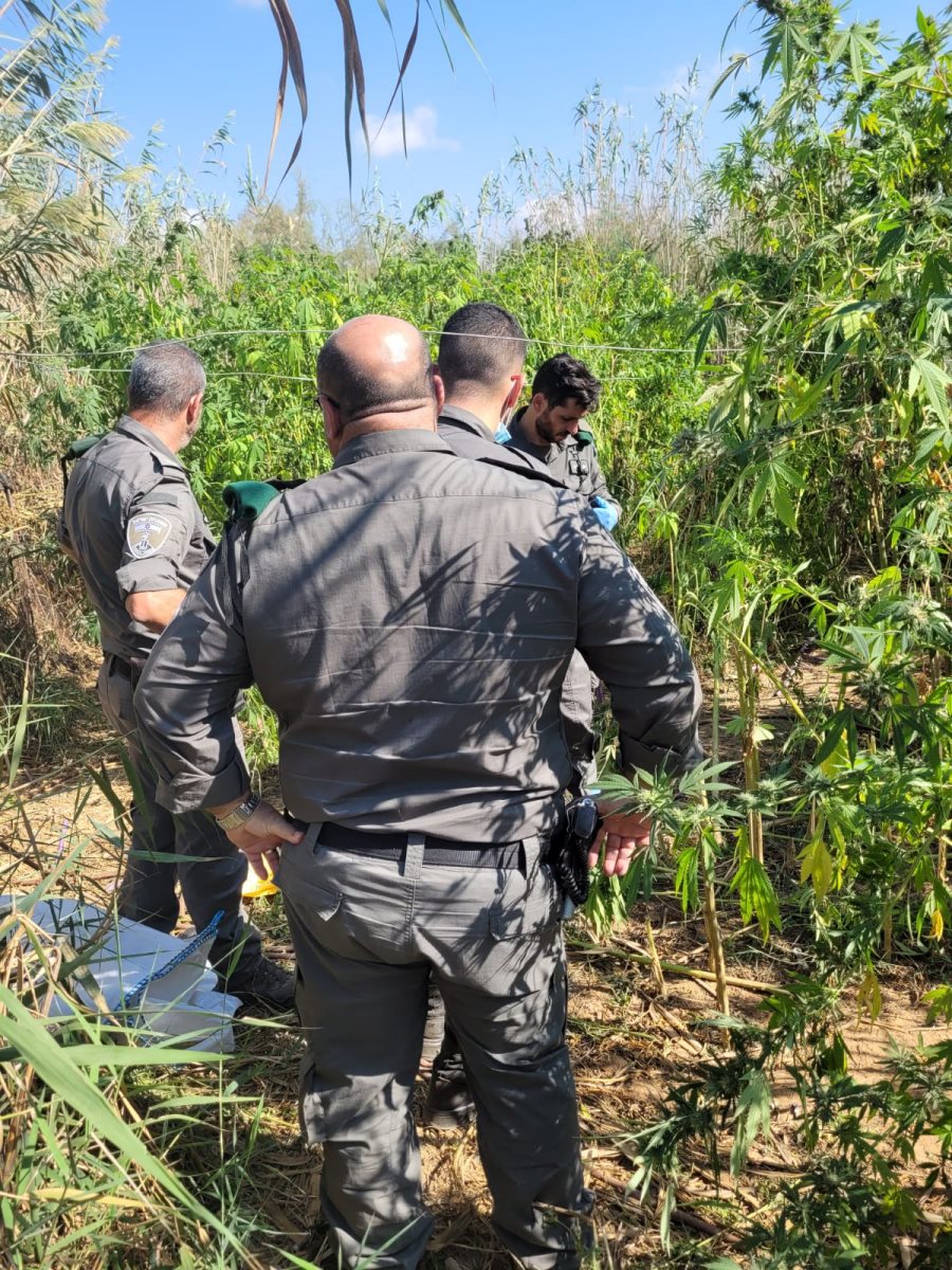 דוברות משטרה