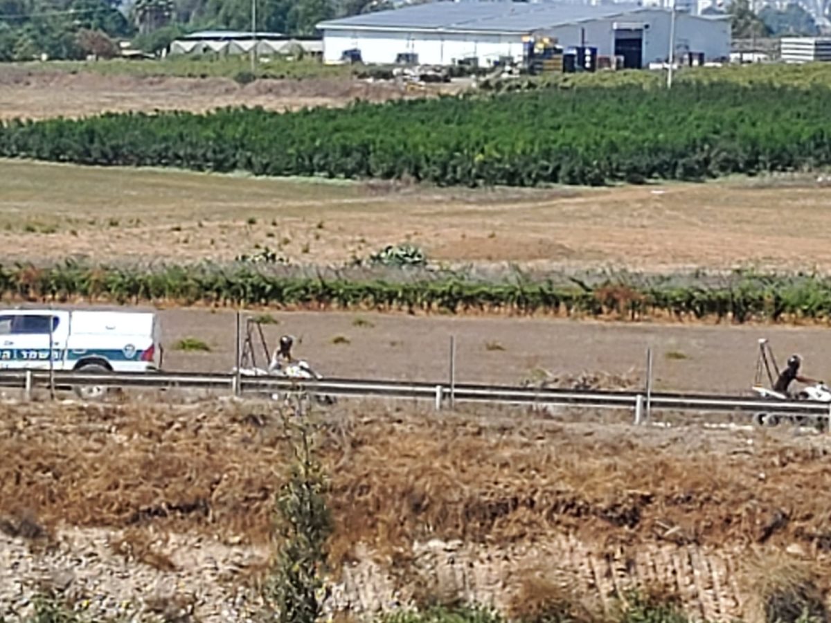 דוברות משטרה