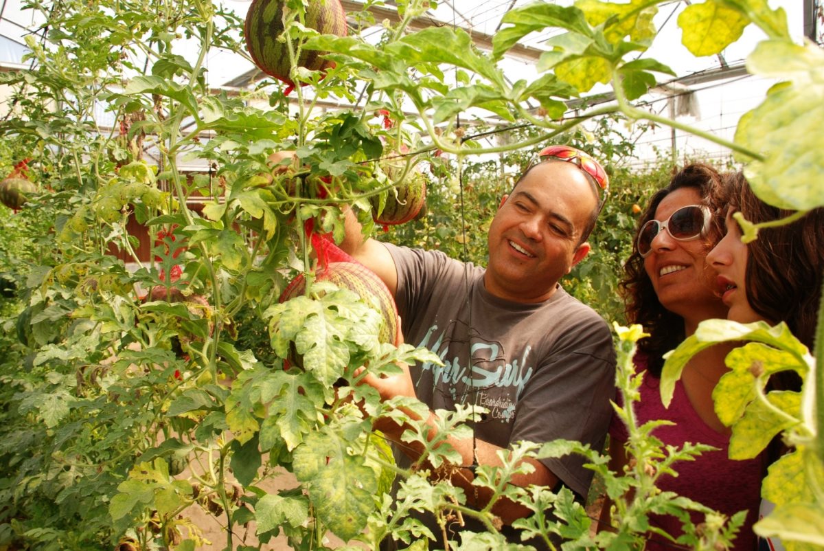 צילום מרכז ויידור