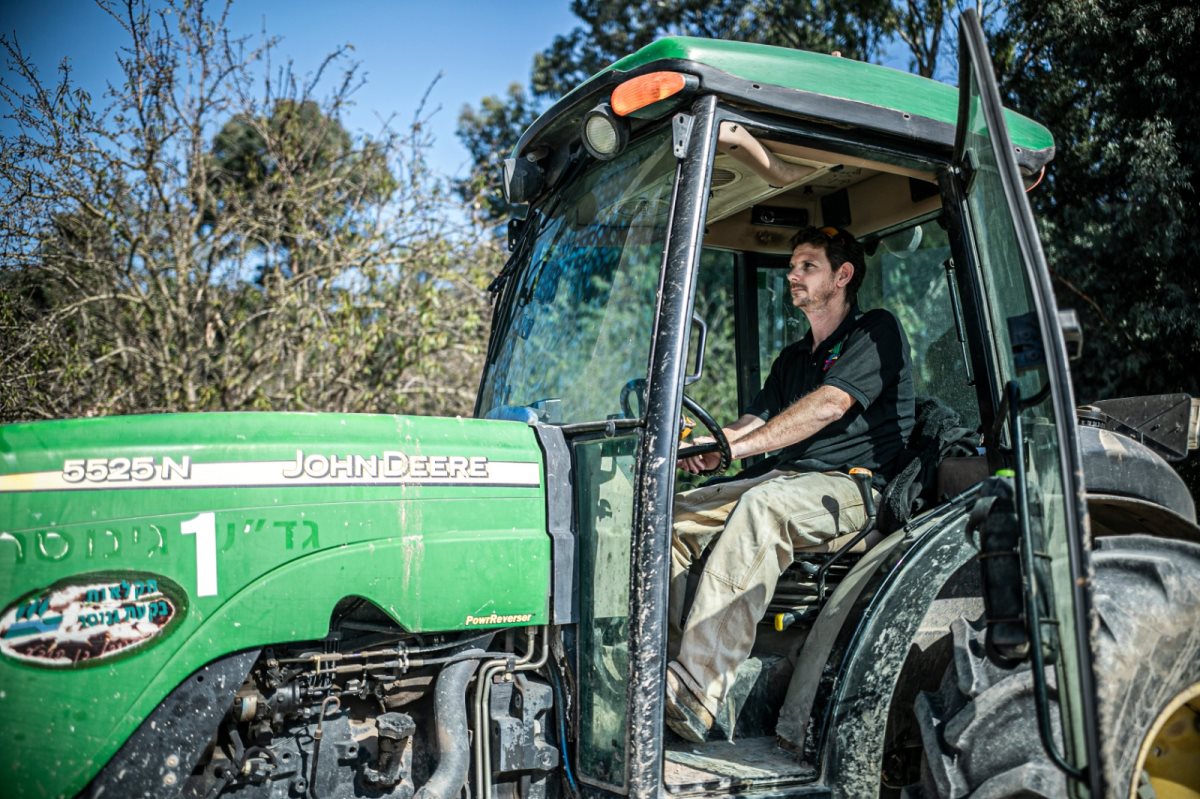 צילום : מיה טנר