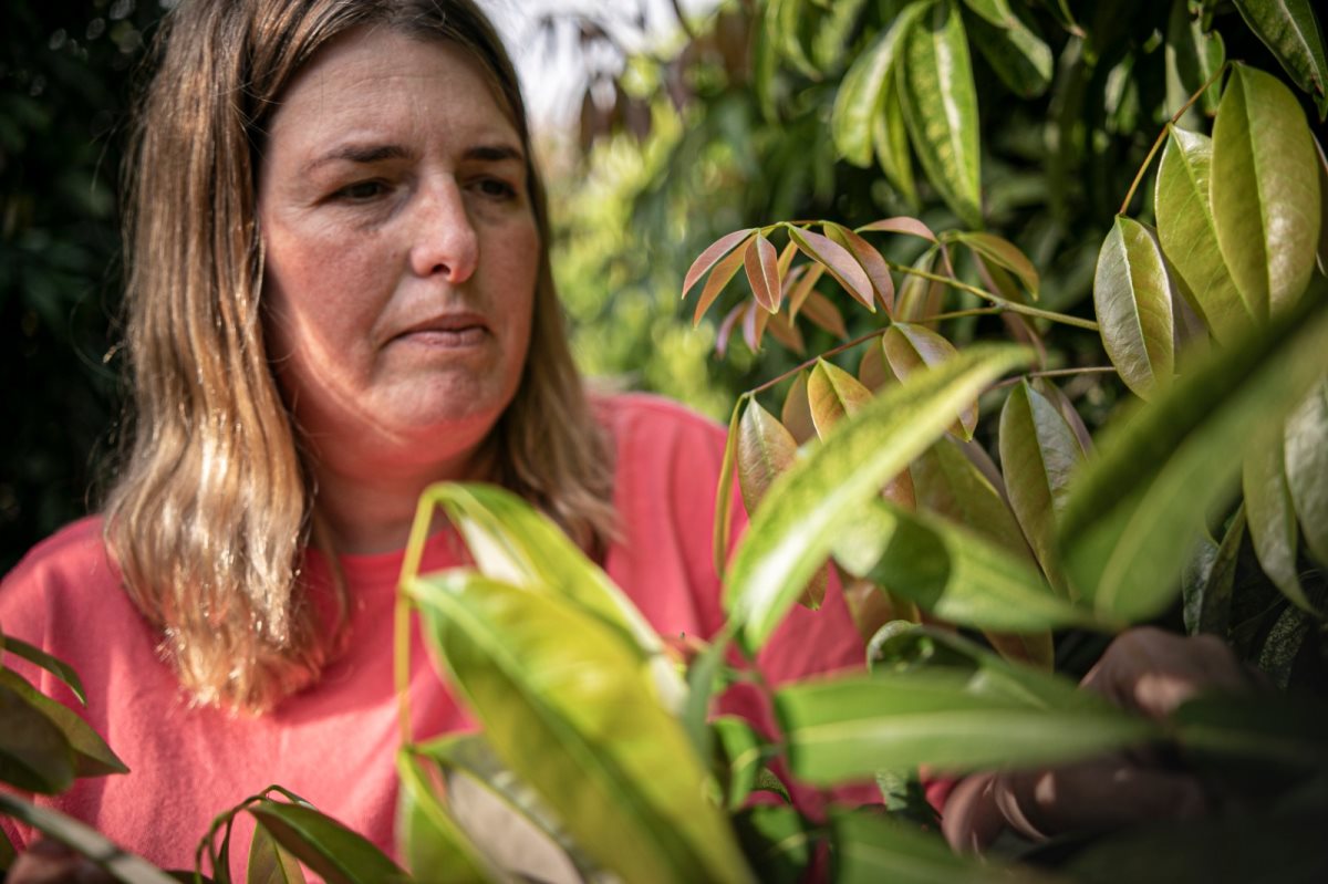 צילומים שירה : מיה טנר
