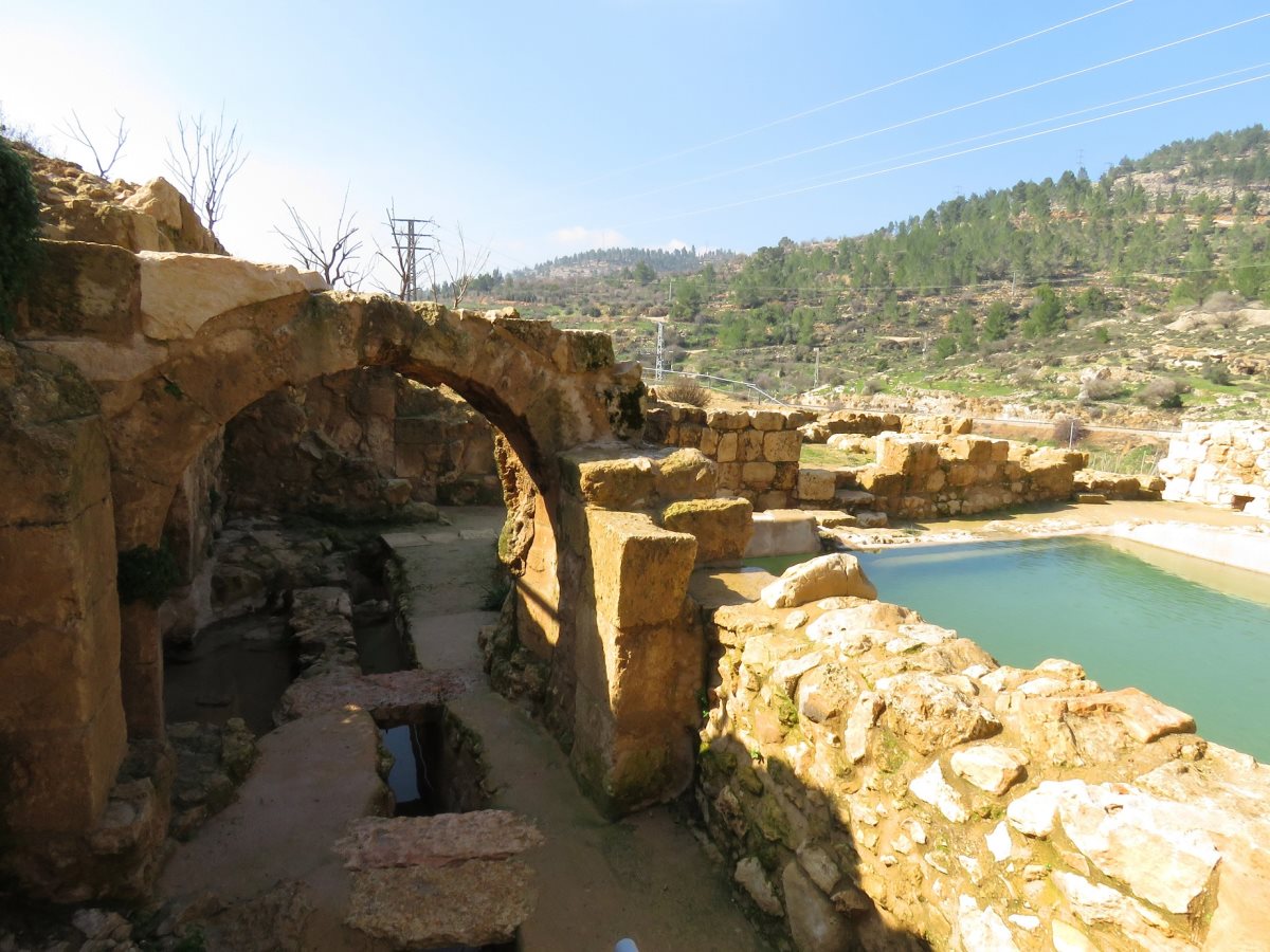 עין חניה צילום יניב כהן רשות הטבע והגנים