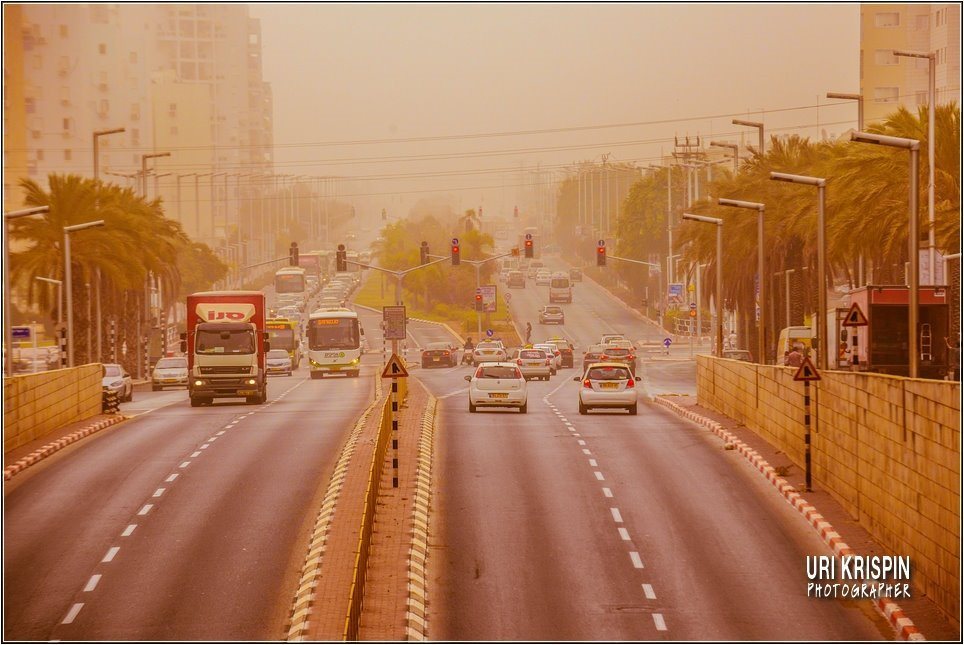 צילום: אורי קריספין