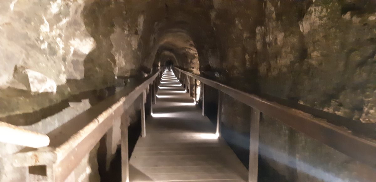 גן לאומי תל מגידו צילום שרית פלצ'י מיארה