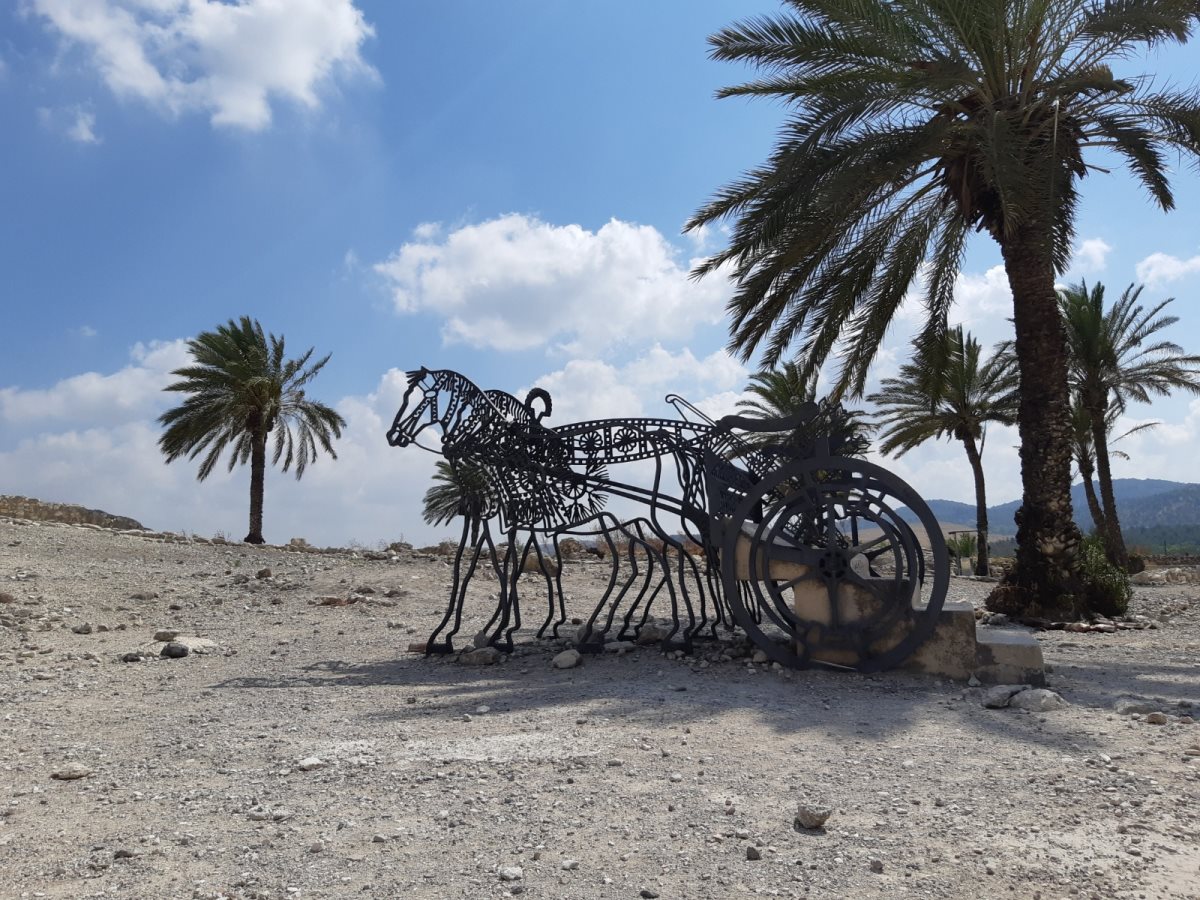 גן לאומי תל מגידו צילום שרית פלצ'י מיארה