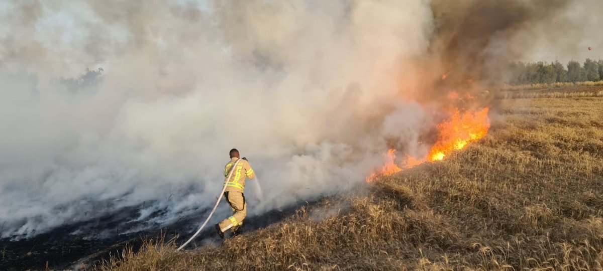 דוברות כבה דרום