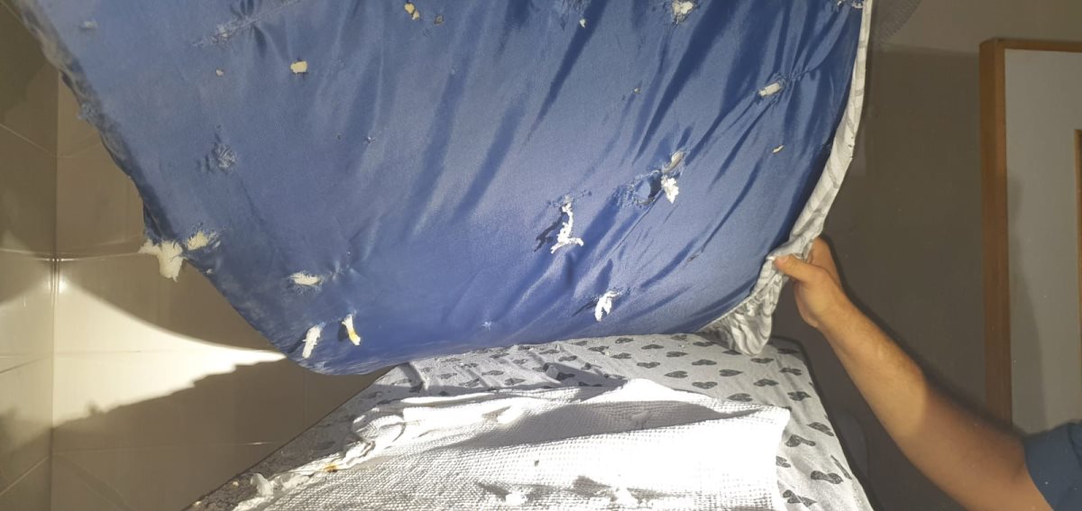 דוברות שער הנגב