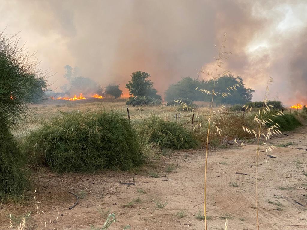דוברות שער הנגב