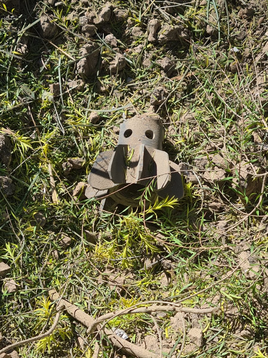 דוברות שער הנגב