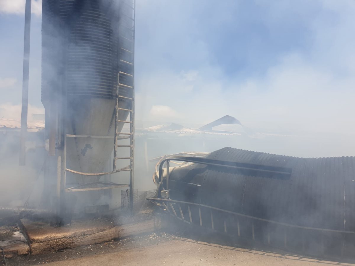 דוברות כבה דרום