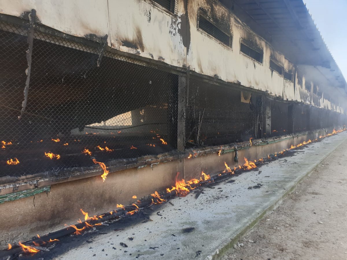דוברות כבה דרום