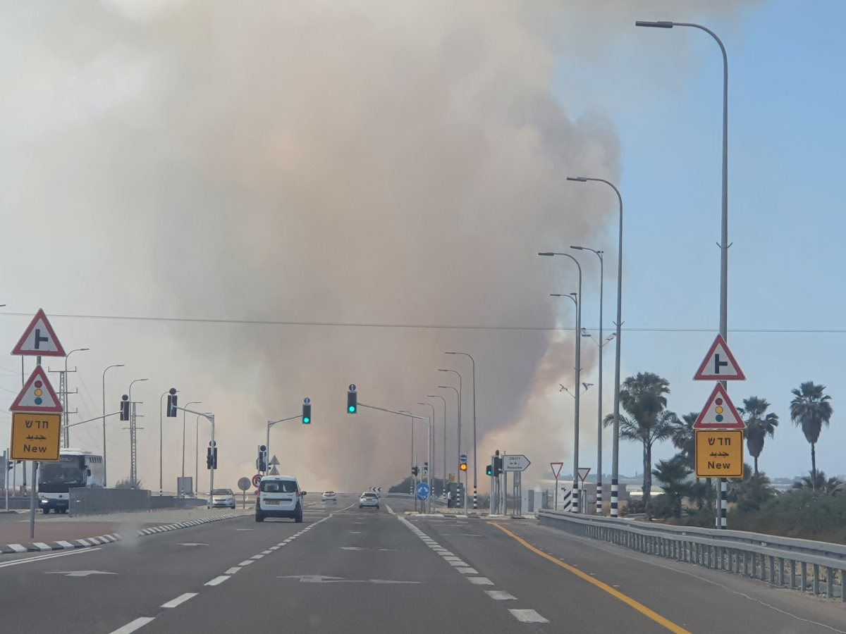 צילום אלדה נתנאל 