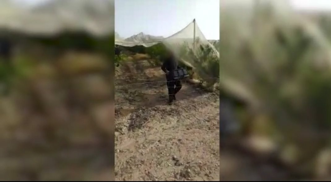 דוברות משטרה