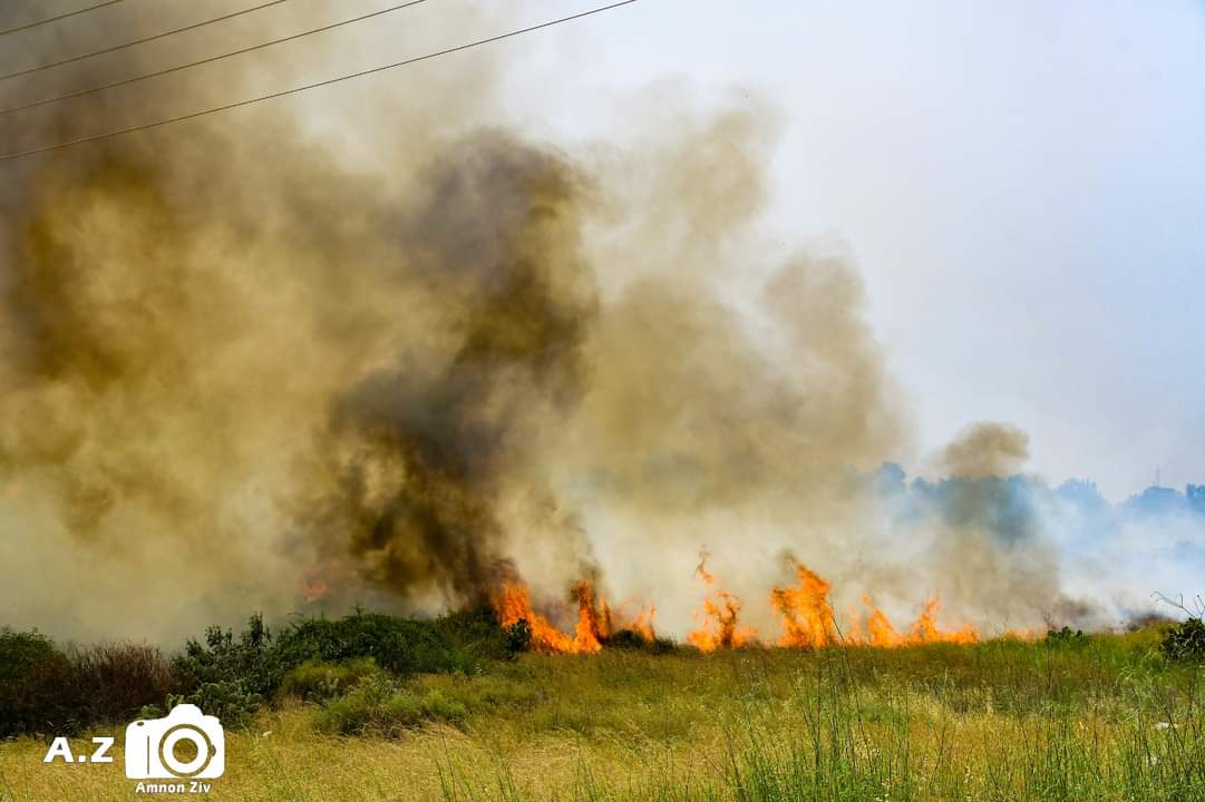 צילום אמנון זיו