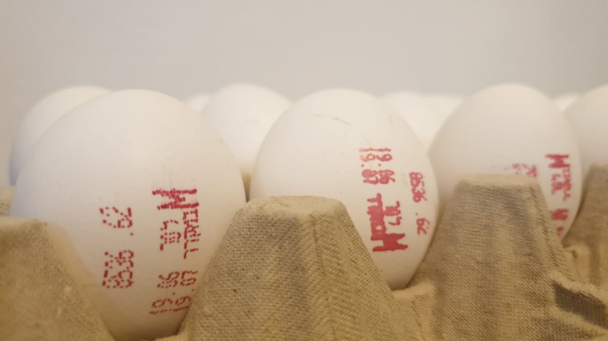 ארכיון - עלייה במחירי הביצים