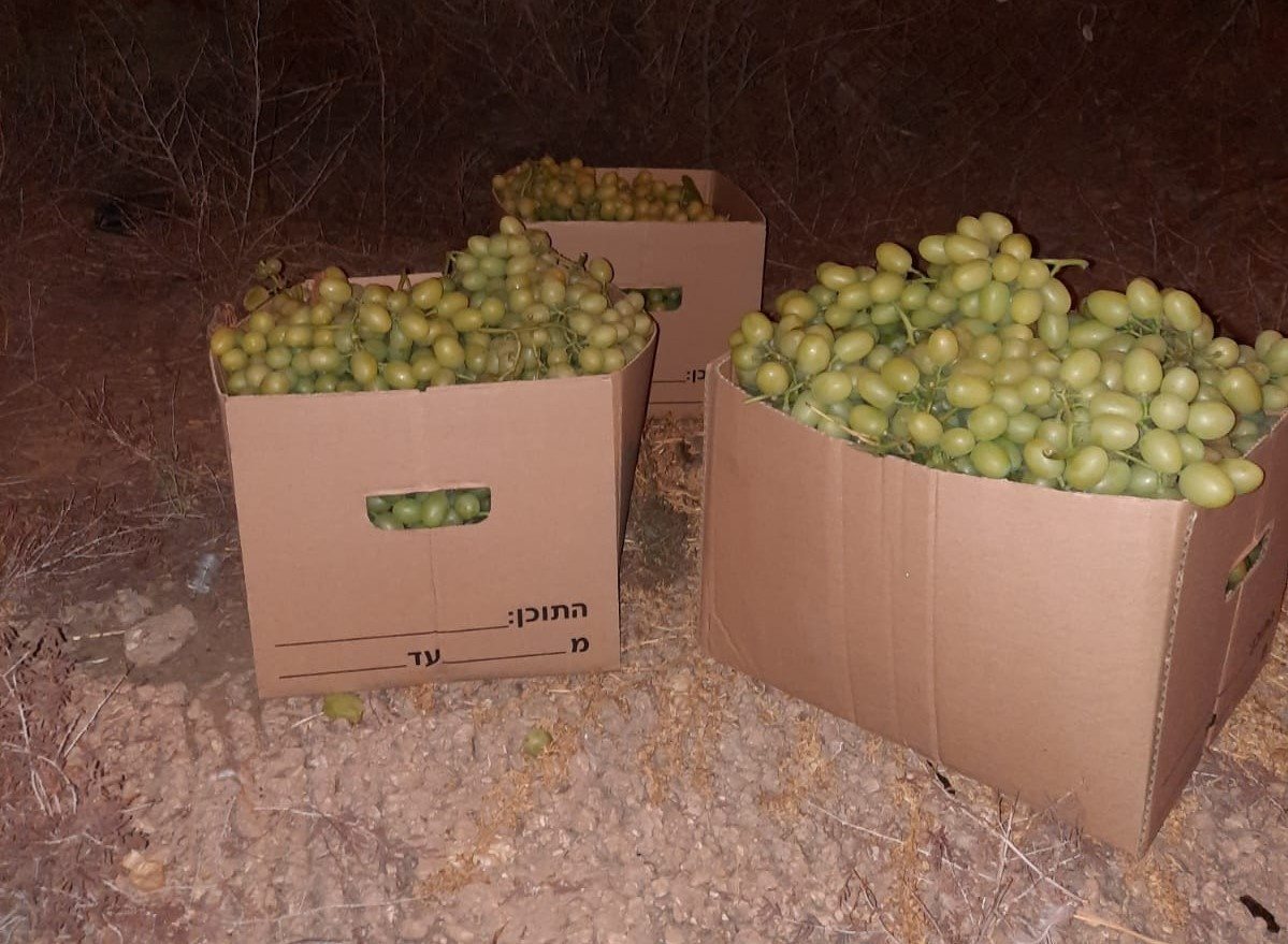 דוברות משטרה