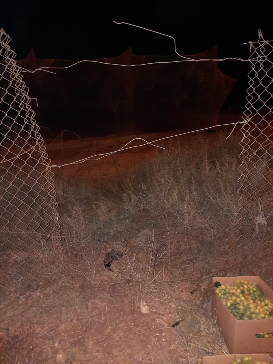 דוברות משטרה